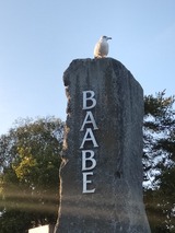 Ferienwohnung in Baabe - Dünenkieker - Bild 18