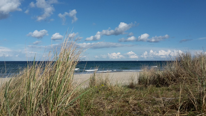 Ferienwohnung in Dahme - Seeblick - Bild 19