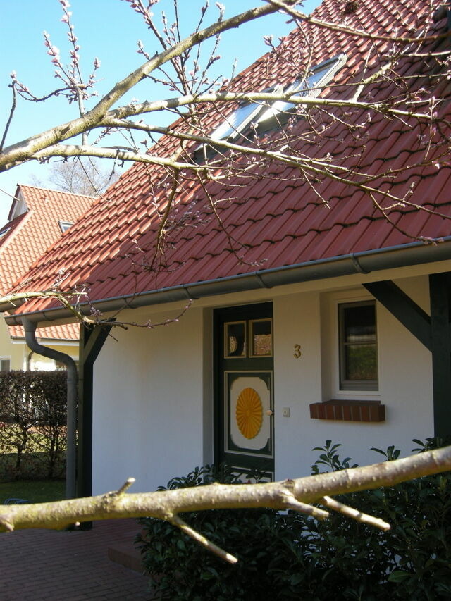 Ferienhaus in Prerow - Kormoran Muschelsucher - Bild 3