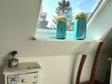 Ferienhaus in Prerow - Kormoran Muschelsucher - Bild 18