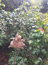 Ferienwohnung in Gro&szlig; Wittensee - Martens - Bild 7