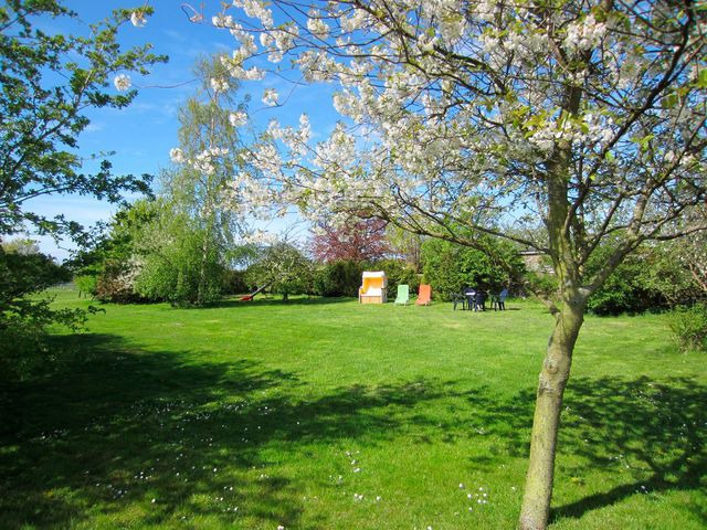 Ferienwohnung in Fehmarn OT Puttgarden - Ferienhof B&ouml;hnke Nr.4 - Bild 13