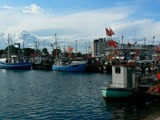 Ferienwohnung in Fehmarn OT Wulfen - Ostseebrise Fehmarn - Bild 25