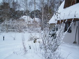 Ferienhaus in Dierhagen - Ferienhaus Kaminsky - Bild 11