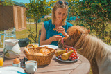Ferienwohnung in Fehmarn OT Westermarkelsdorf - Twister - Bild 8