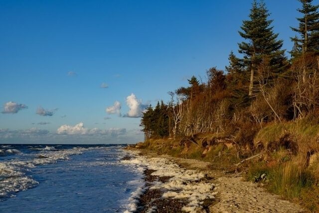 Ferienwohnung in Graal-M&uuml;ritz - Aster - Bild 18