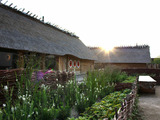 Ferienhaus in Damp - Nurdachhaus in Damp an der Ostsee - Bild 25