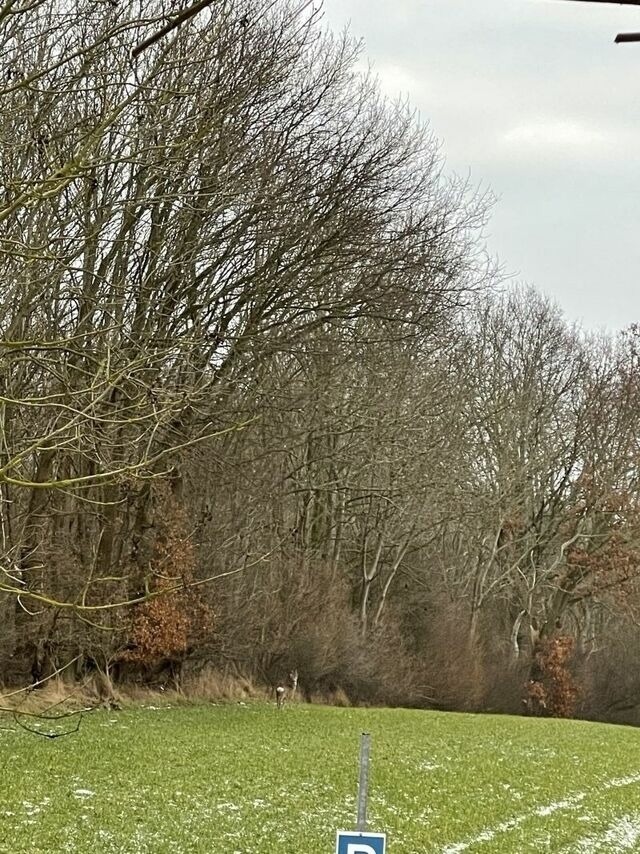 Ferienhaus in Steinbeck - MP 9 Villa - Bild 10