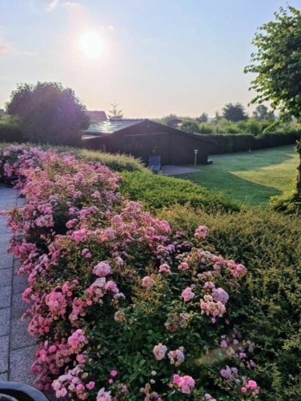 Ferienwohnung in Breege - Sonnenhus 1 - Breege/R&uuml;gen - Bild 21