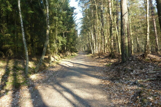 Ferienwohnung in Prerow - FeWo Seeadler - Heuser Prerow - Bild 18
