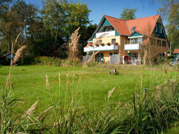 M&ouml;wennest
