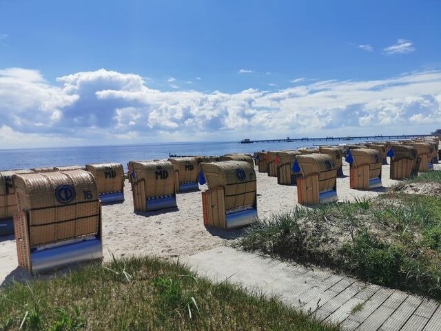 Ferienwohnung in Kellenhusen - Rosa Canina, W8 - Bild 16