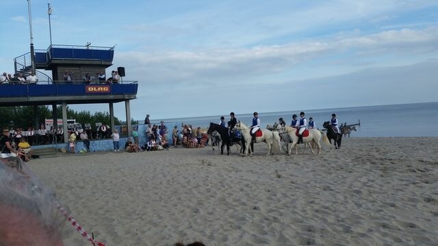 Ferienwohnung in Kellenhusen - Rosa Canina, W8 - Bild 18