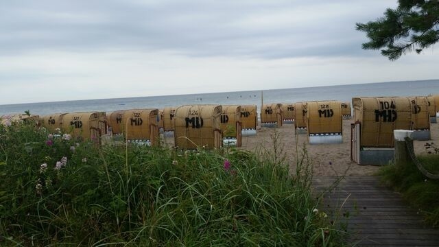 Ferienwohnung in Kellenhusen - Rosa Canina, W8 - Bild 21