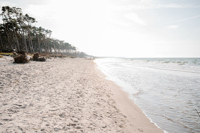 Ferienwohnung in Ahrenshoop - Meerblick 4 - Bild 10