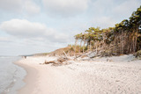 Ferienwohnung in Ahrenshoop - Strandoase 2 - Bild 8