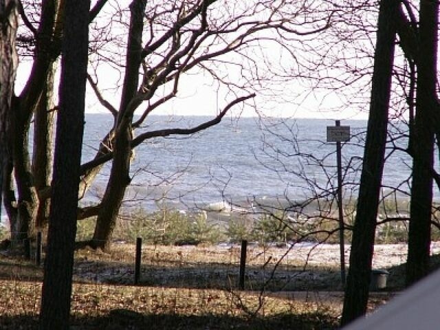 Ferienhaus in Baabe - D&uuml;nenblume - Baabe - Bild 13