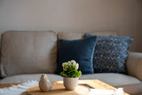 Ferienwohnung in Guttau - Kornblume - Bild 9