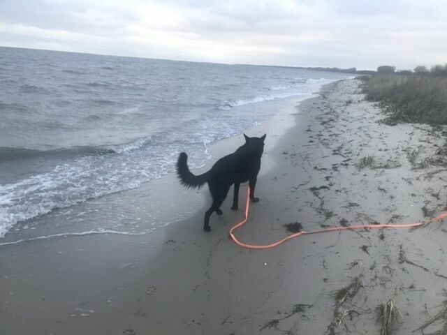 Ferienwohnung in Gahlkow - Strandperle 2 - Bild 15