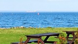 Bungalow in Altwarp - Bungalow, Meerblick,Hund darf mit - Bild 18