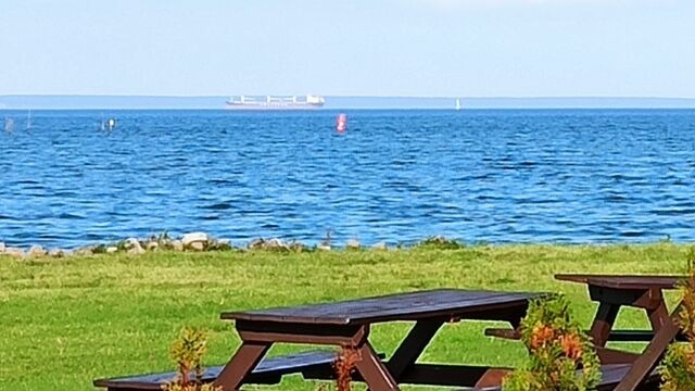 Bungalow in Altwarp - Bungalow, Meerblick,Hund darf mit - Bild 18
