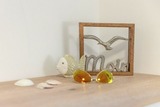 Ferienwohnung in Zingst - Smaragd - Haus Seekristall - Bild 13