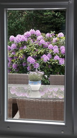 Bungalow in Dahme - Haus Seem&ouml;we - Bild 12