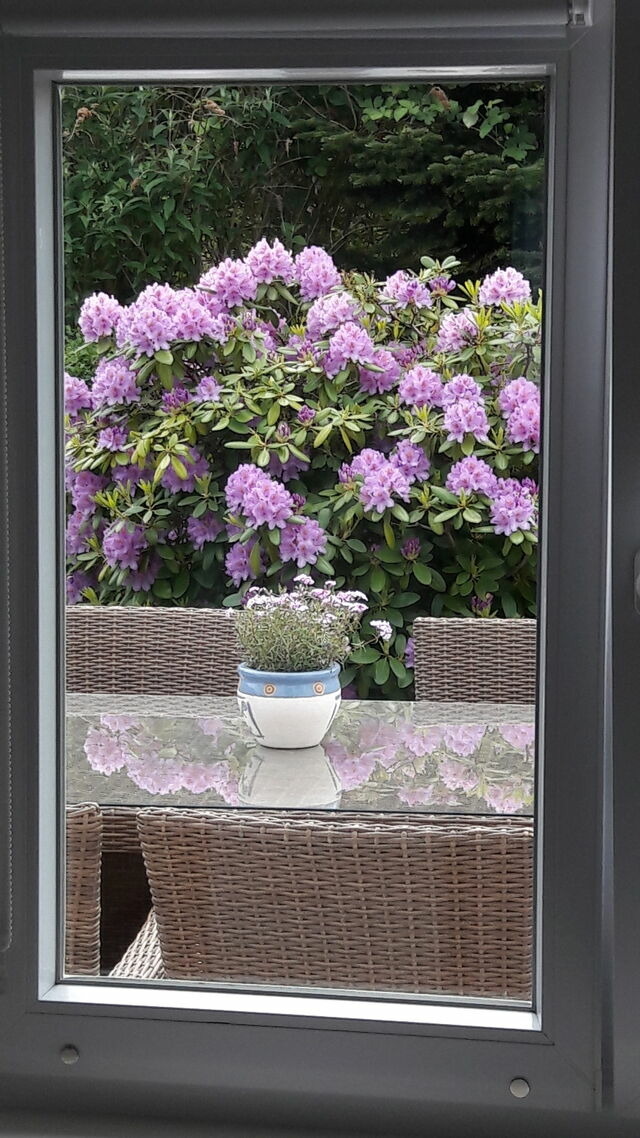 Bungalow in Dahme - Haus Seem&ouml;we - Bild 12