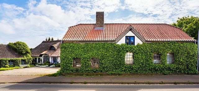 Ferienhaus in Ulsnis - Ferienhaus Alte Schmiede - Bild 13