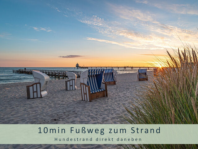 Ferienhaus in Zingst - Herzmuschel - Bild 2