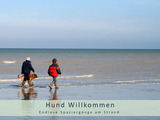 Ferienhaus in Zingst - Herzmuschel - Bild 11
