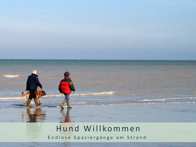 Ferienhaus in Zingst - Herzmuschel - Bild 11