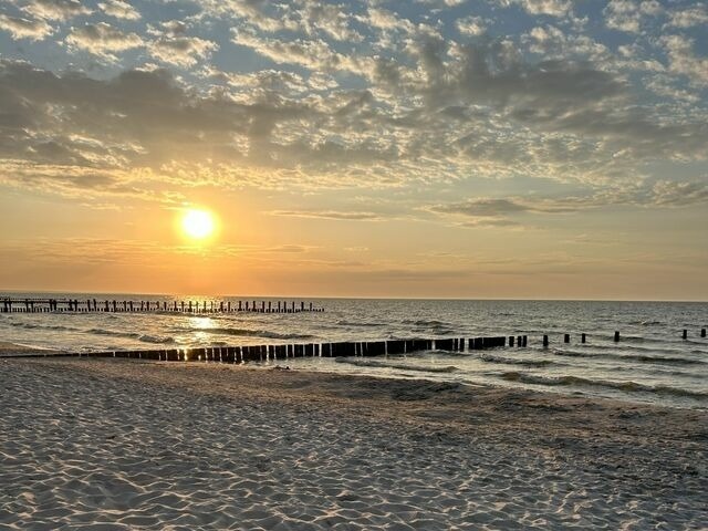 Ferienhaus in Zingst - Herzmuschel - Bild 19