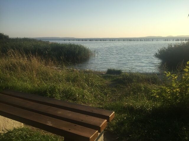 Ferienwohnung in Glowe - Ein Steinwurf zum Ostseestrand: Ferienwohnung Martha mit Terrasse - Bild 22