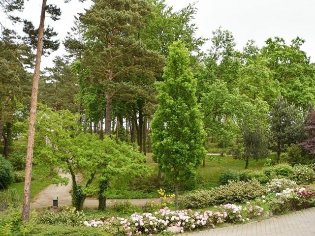 Ferienwohnung in Baabe - Ferienwohnung 1a/7 - Bild 10