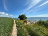 Ferienwohnung in Sierksdorf - Kleine Strandbude - Bild 23
