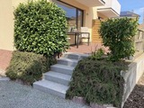 Ferienwohnung in Dahme - Haus Meeresglück Seeteufel - Bild 23
