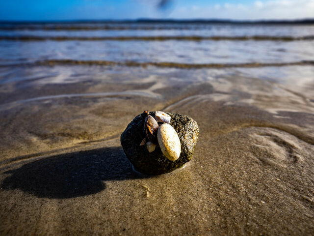 Ferienhaus in Gl&uuml;cksburg - Ferienhaus Ostseeblick - Bild 23