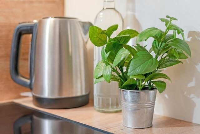 Ferienwohnung in Timmendorfer Strand - Wohnung 113 - Bild 13