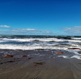 Ferienwohnung in Hageb&ouml;k - Ferienwohnung Thiedmann - Bild 12