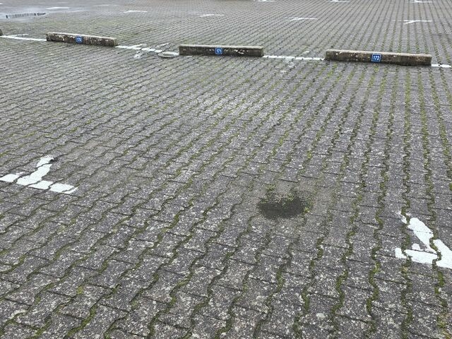 Ferienwohnung in Gr&ouml;mitz - Baltic 171 - Bild 16