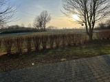 Ferienhaus in Wangels - Ferienhaus Tutsch Ostblick - Bild 9