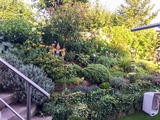 Ferienhaus in Sassnitz - Ferienhaus Jasmund direkt am Nationalpark Jasmund - Bild 13
