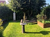 Ferienhaus in Sassnitz - Ferienhaus Jasmund direkt am Nationalpark Jasmund - Bild 15