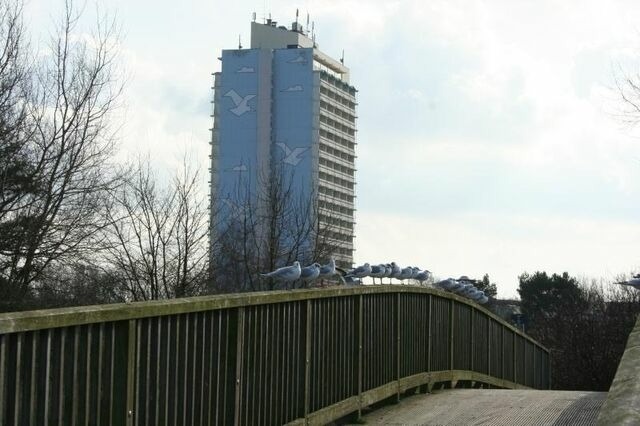 Ferienwohnung in Sch&ouml;nberg - Ostsee-Appartement K012 - Bild 2