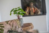 Ferienwohnung in Lauterbach - Alte Fischfabrik InselGl&uuml;ck - Bild 12