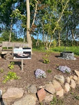 Ferienwohnung in Mariendorf - Naturidyll Mariendorf - Ferienwohnung Hagensche Wiek - Bild 3