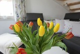 Ferienhaus in Zierow - Reethaus "H&uuml;s Kiek Inn" - Bild 9